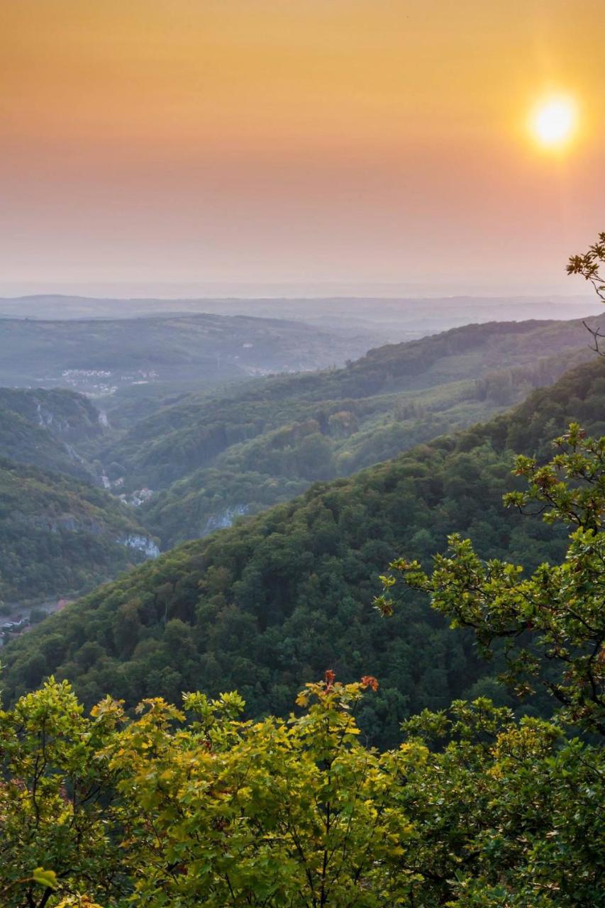 Fruktárium vendégház Trizs Exterior foto